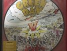 GREEN DAY DOOKIE PICTURE VINYL