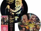 Sweet - Fox On the Run - Rare Studio Tracks - Picture Disc Vinyl - LP Vinyl
