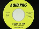 Sweet Soul 45 - Candace Love - I Wanna Get Back - Aquarius - VG++ mp3