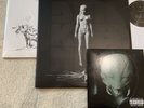 Die Antwoord Vinyl - Mount Ninji And Da Nice Time Kid + Donker  Mag + Alien Lot