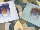 Plaid Polymer Double Vinyl Album New And Sealed With Bleep Exclusive Print Afx