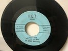 Rare 1960s Dallas Soul 45 The Other Brothers On Pet Records “ A Little Girl” VG+