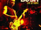BUSH - LIVE IN TAMPA Blue Vinyl Double LP Glycerine Machinehead Everything Zen