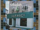 Sebadoh Harmacy Sub Pop Vinyl LP Indie Rock Lou Barlow FREE SHIPPING