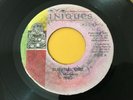 IWAD / SURVIVAL TIME  REGGAE 45