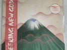 GRUFF RHYS Seeking New Gods DINKED #106 Signed Print + Flexi Ltd Sold Out SEALED