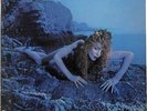 Roxy Music Siren UK LP Vinyl Record Album 1975 ILPS9344 Island 33 VG+