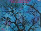 Amon Duul II-Phallus Dei German prog psych lp reissue brand new