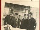 THE TEENBEATS 