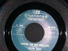 DOROTHY BERRY Cryin' On My Pillow/You're So Fine RARE 45 1963 Challenge Records