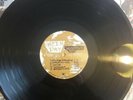 Green Day ?– Woodstock 12 Inch Vinyl  Reprise Records  587282-1 Limited Edition