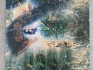 Pink Floyd A Saucerful Of Secrets Vinyl LP Columbia SCX 6258 The Gramophone Co.