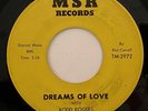 RODD ROGERS Dreams of Love MSR Soul Song Poem One-Sided 45 HEAR