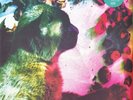 Pales Saints, Comforts Of Madness, 30th Anniversary Edition, Vinyl, LP, 4AD, NEW