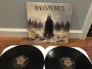 BLACK VEIL BRIDES Wretched & Divine 180 gram x2 VINYL LP Album 2013