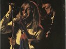 Cheap Trick vinyl LP album record At The Budokan - Yellow Vinyl + Booklet UK