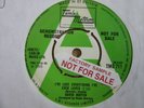 45.  DAVID RUFFIN     I'VE LOST EVERYTHING...   UK Motown DEMO 7