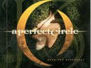 A Perfect Circle: Weak & Powerless/Weak & Powerless Remix, 7