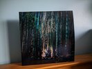 Dir en Grey - Dum Spiro Spero LP