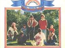 Beach Boys Sunflower Original UK STATESIDE LP. Beautiful  Free UK post.