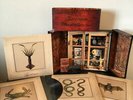 Fantomas - Wunderkammer Box Set Faith No More MR. BUNGLE RECORD STORE DAY RSD