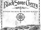 Black Stone Cherry - Between The Devil & The Deep Blue Sea (Vinyl)