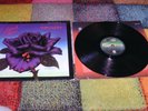 THIN LIZZY  black Rose  Lp  +Ois 1Y/2Y  Vertigo 6360169