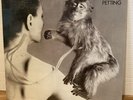 UFO - No Heavy Petting - New LP - 1976 US Chrysalis CHR 1103