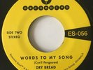 Words To My Song B/W Yamar - Dry Bread - 2016 Numero NM Rare Funk Soul 45