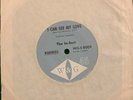 The In-Sect I Can See My Love / More Than I Can Say Rare Oz 60s garage/punk