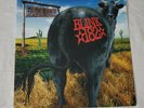 Blink 182 - Dude Ranch LP - 2016 US SRC Vinyl - SRC078