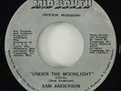 Sam Anderson 