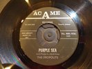 Rare Garage rockabilly 45: The Dropouts  I'm Leaving    AcAme     ARIZONA 1966