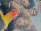 Ambrose Slade Beginnings Vinyl