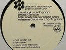 Strata's Paradigm Shift (2000, Strata, 2LP compilation) House/Techno/Downtempo