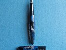 BENU Happy Chameleon Fountain Pen