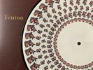 hot mulligan fenton + honest and cunning amainated vinyl