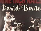 Nine Inch Nails with David Bowie - Back In Anger: Volume 2 - Vinyl Record NEW