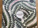 She Keeps Bees - Kinship Vinyl LP Limited Edition Coloured Vinyl Near Mint