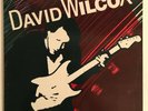 The Best of David Wilcox Vinyl LP Capitol 1985  Original Canadian Pressing Blues