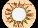 THE BLOX - TEXAS GARAGE 45 - SAY THOSE MAGIC WORDS/THE WAY I'M GONNA BE - HEAR