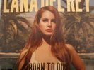 Lana Del Rey - Born to Die - Paradise Edition - Vinyl LP in Ltd Slipcase