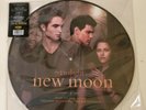 Twilight New Moon Soundtrack Picture Disc 12” Vinyl Hot Topic Death Cab Lyyke Li