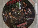 EXODUS: Pleasures of the Flesh US Comba Metal Picture Disc SEALED Vinyl LP