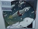MUSE REAPERS (2016) BRAND NEW LIMITED RSD PICTURE DISC 7