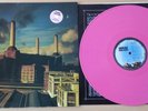 Pink Floyd - Animals - DE (1C 064-98 434) LP Limited Pink Vinyl 1977 - 1.Press