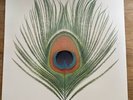 XTC Apple Venus Volume 1 Vinyl LP Album 2018 Re-Press inc Inner Lyrics Insert