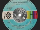 MARIMBA BRISAS DEL GRIJALVA cumbia maravillosa EXOTICA CUMBIA CHIAPAS MX —LISTEN