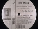 Luis Damon - Should've Never Let You Go 12