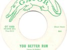 RANDY HOBBS 45 You Better Run / Oh Julie - Great Rocker 1960 VG